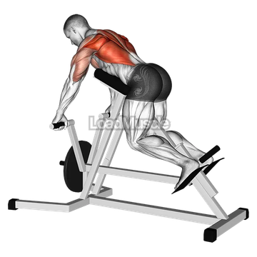 Lever Lying T bar Row