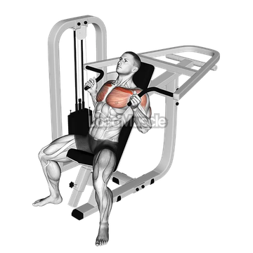 Lever Incline Hammer Chest Press