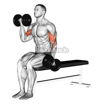 Dumbbell Alternate Biceps Curl
