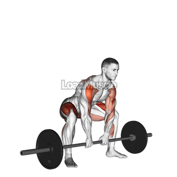 Sumo Deadlift High Pull