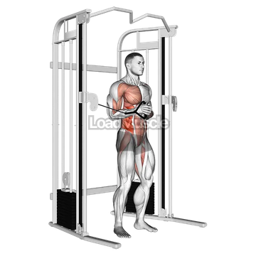 Cable horizontal Pallof Press