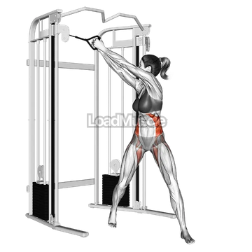 Cable twist (up down)