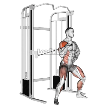 Cable twisting overhead press