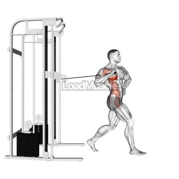Cable twisting standing one arm chest press
