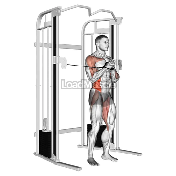 Cable vertical Pallof Press