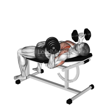 Dumbbell Incline reverse grip 30 degrees bench press