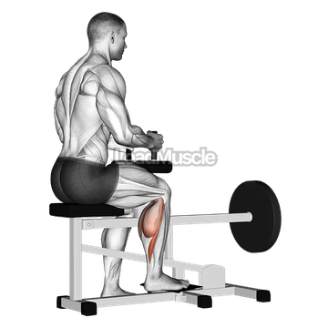 Lever seated one leg calf raise