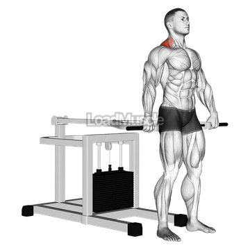 Lever Shrug (bench press machine)