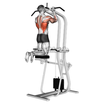 Assisted Close grip Underhand Chin up