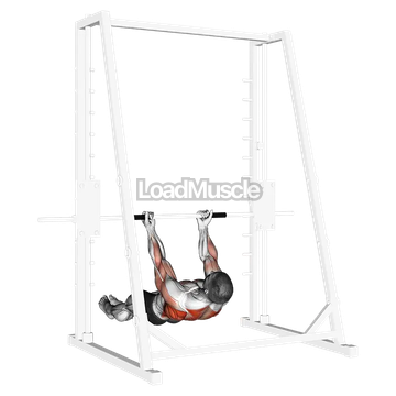 Underhand Grip Inverted Back Row