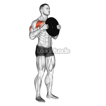 Standing Plate Presses