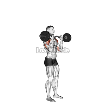 EZ Bar Standing Overhead Press