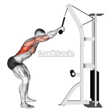 Cable Standing Lat Pushdown (rope equipment)