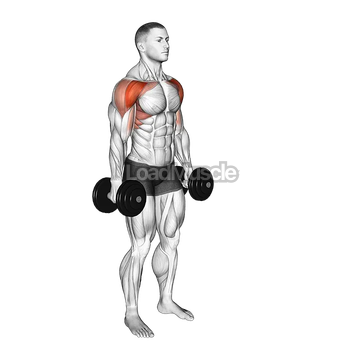 Dumbbell Standing Alternate Vertical Front Raises