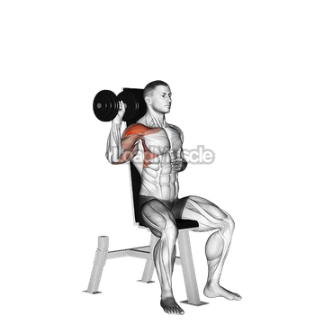 Dumbbell Seated One Arm Shoulder Press