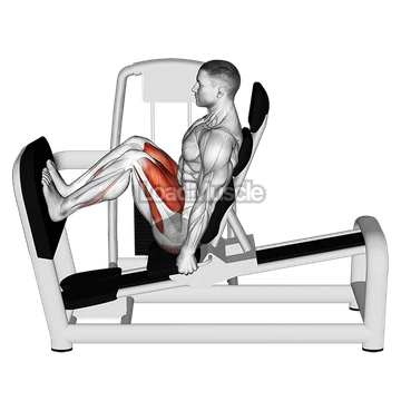 Lever Seated Squat