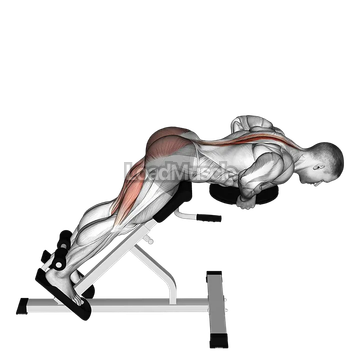 Plate Hyperextension