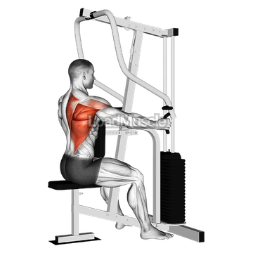 Lever One Arm Seated Row (Seated row machine)