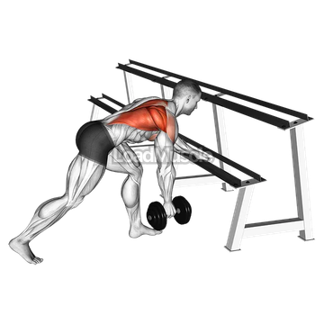 Dumbbell One Arm Row (rack support)