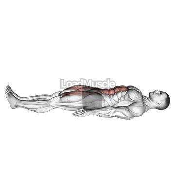 Lying Leg Raise and Hold