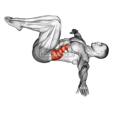 Half Wipers (bent leg)