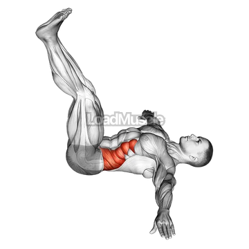 Wipers (straight leg)