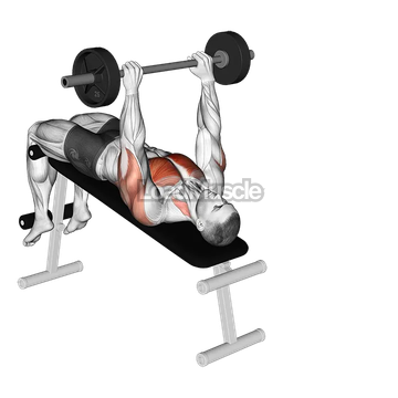 Barbell Decline Pullover