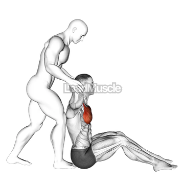 Behind Head Chest Stretch