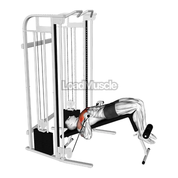 Cable Decline Press