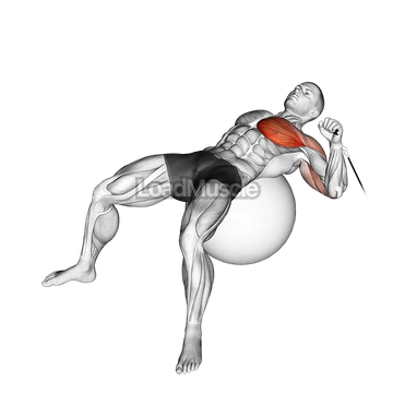 Cable One Arm Press on Exercise Ball