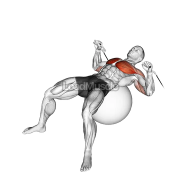 Cable Press on Exercise Ball