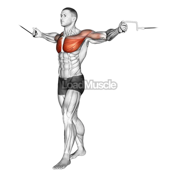 Cable Standing Up Straight Crossovers