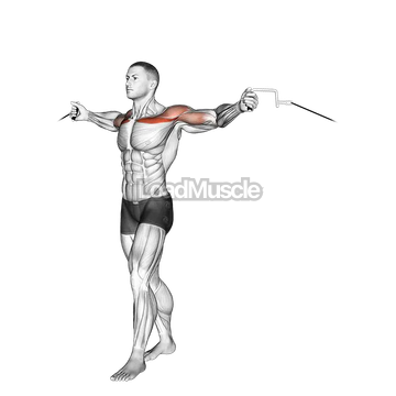 Cable Upper Chest Crossovers