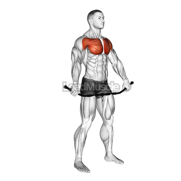 Chest and Front of Shoulder Stretch
