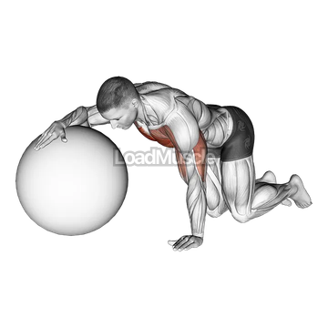 Chest Stretch with Exercise Ball