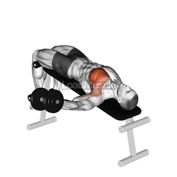 Dumbbell Decline One Arm Fly