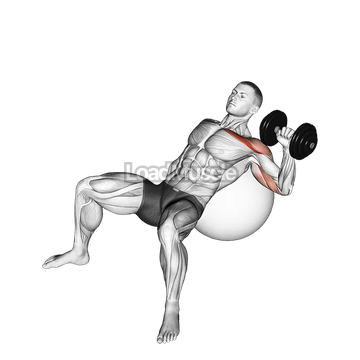 Dumbbell Incline One Arm Press on Exercise Ball