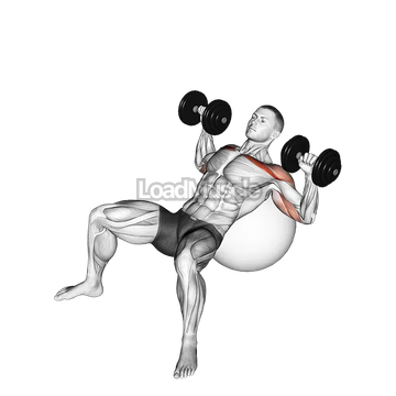 Dumbbell Incline Press on Exercise Ball
