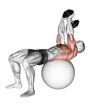 Dumbbell Lying Pullover on Exercise Ball