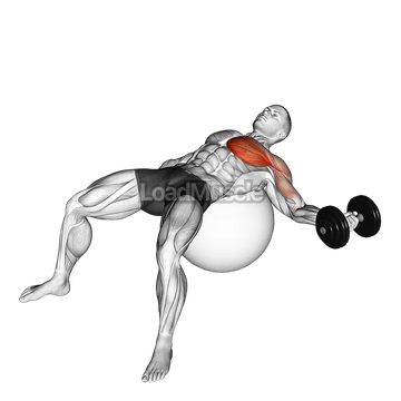 Dumbbell One Arm Chest Fly on Exercise Ball