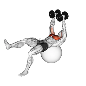 Dumbbell One Leg Fly on Exercise Ball