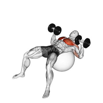 Dumbbell Press on Exercise Ball