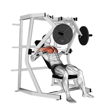 Lever Decline Chest Press