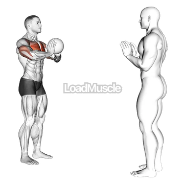 Medicine Ball Chest Pass