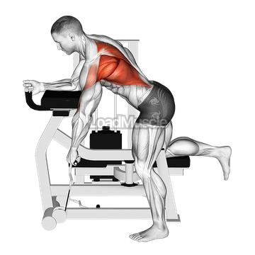Lever Unilateral Row