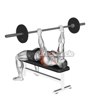 Barbell Bent Arm Pullover