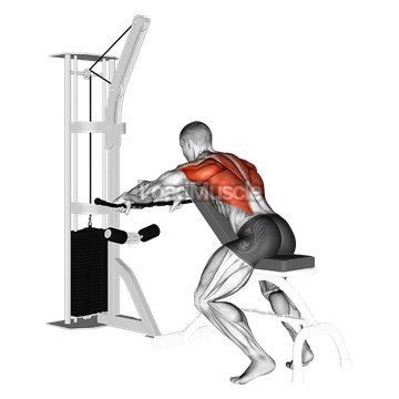 Cable Incline Bench Row