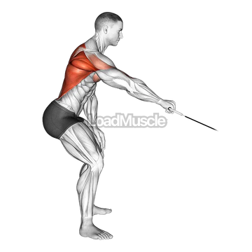 Cable Palm Rotational Row