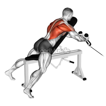 Cable Rope Extension Incline Bench Row