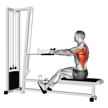 Cable Rope Seated Row